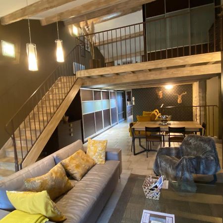 Le Loft Duplex, 2 Terrasses, Au Coeur Du Village Saint-Rémy-de-Provence 外观 照片