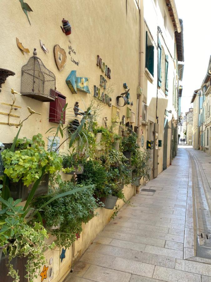 Le Loft Duplex, 2 Terrasses, Au Coeur Du Village Saint-Rémy-de-Provence 外观 照片
